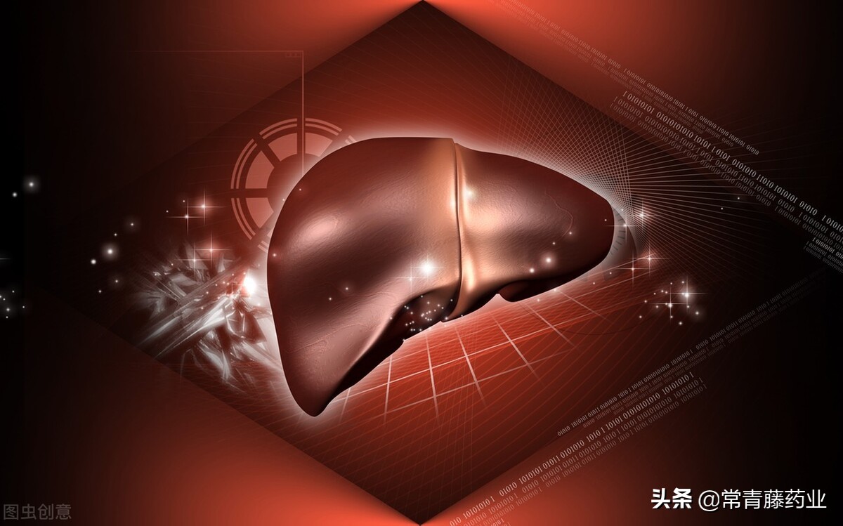 肝脏lp和gtp升高是什么,肝检查alt是代表什么