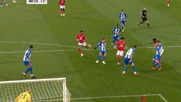 英超曼城阿森纳利物浦布莱顿赛况,曼城3-0埃弗顿阿森纳0-3布莱顿