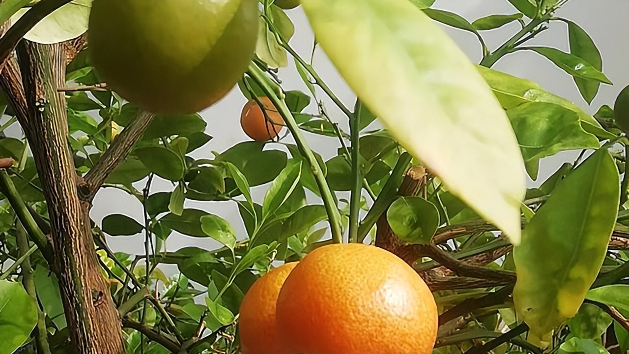 古诗中的人生哲理句子,古诗词中人生哲理的句子