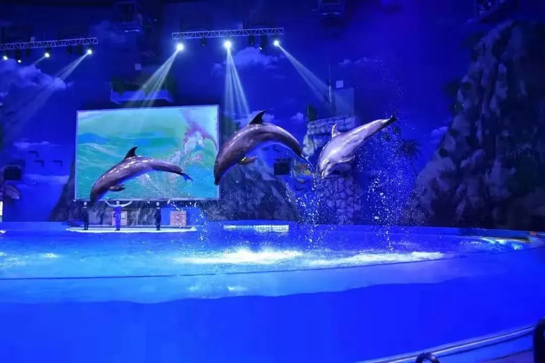 关注|@全国考生来云南这些景区，优惠、免费！