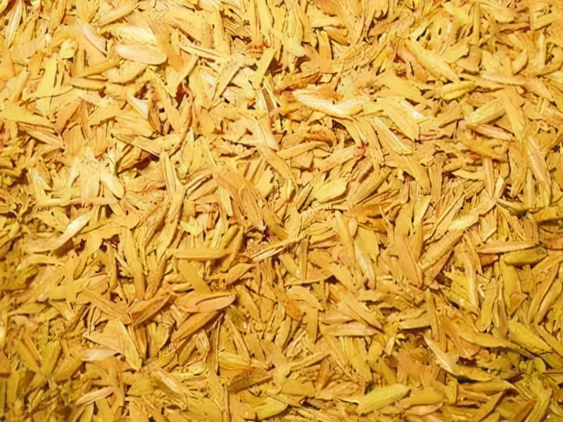 养兰植料要因地制宜,养兰花植料技术管理视频