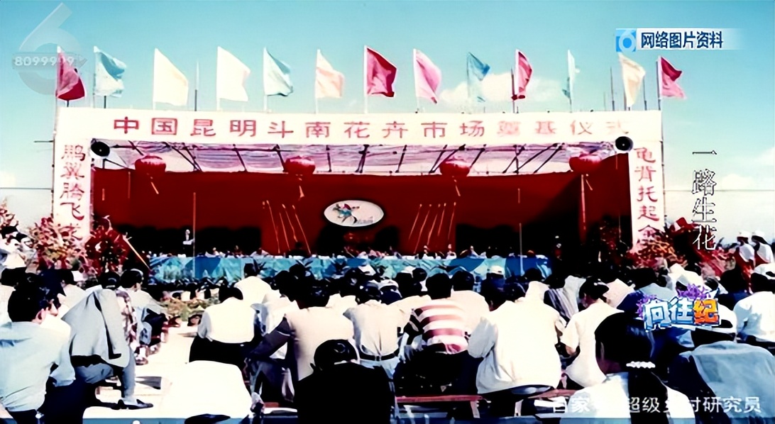 盘点人们都向往的工作,向往的工作和现实的工作