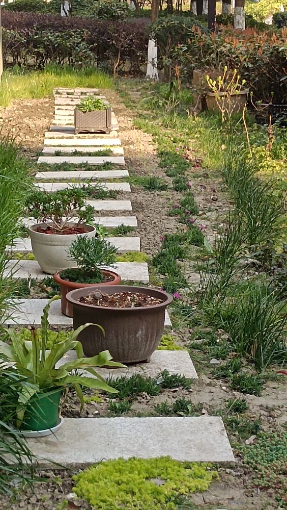 人生最难的不是辛苦而是心苦,人生再苦也要乐在其中