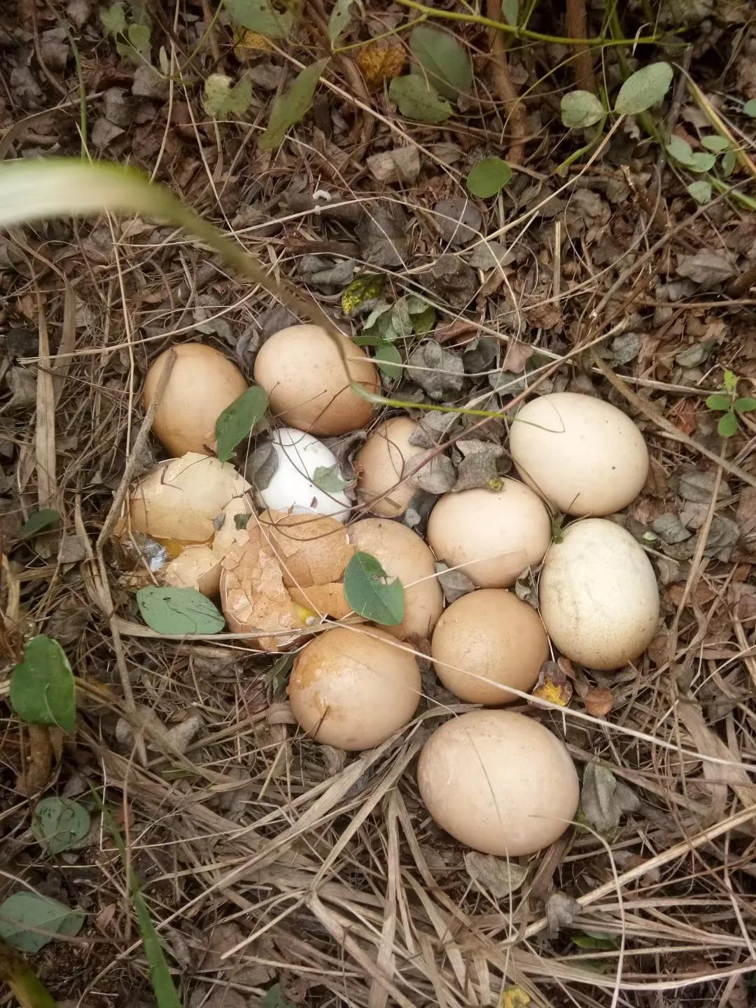 该怎样走出负债困境？