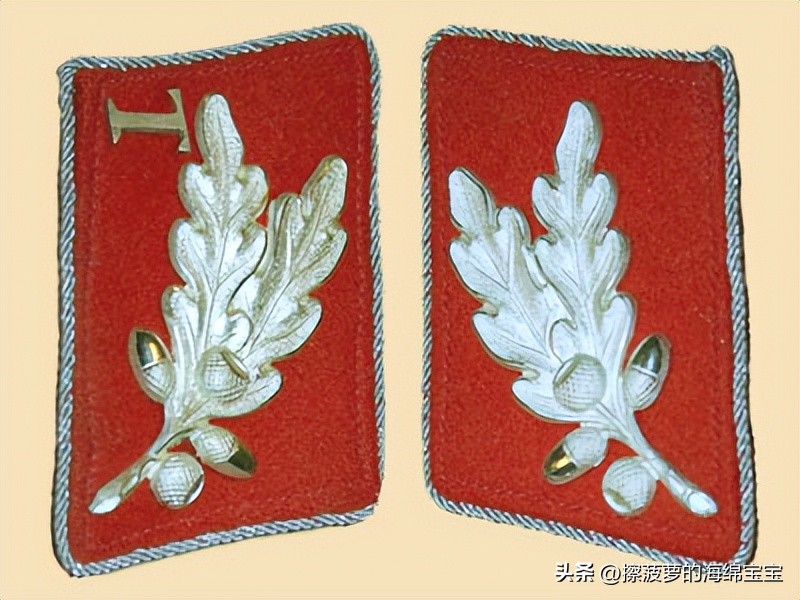 纳粹冲锋队用的什么枪,纳粹德军军衔图解