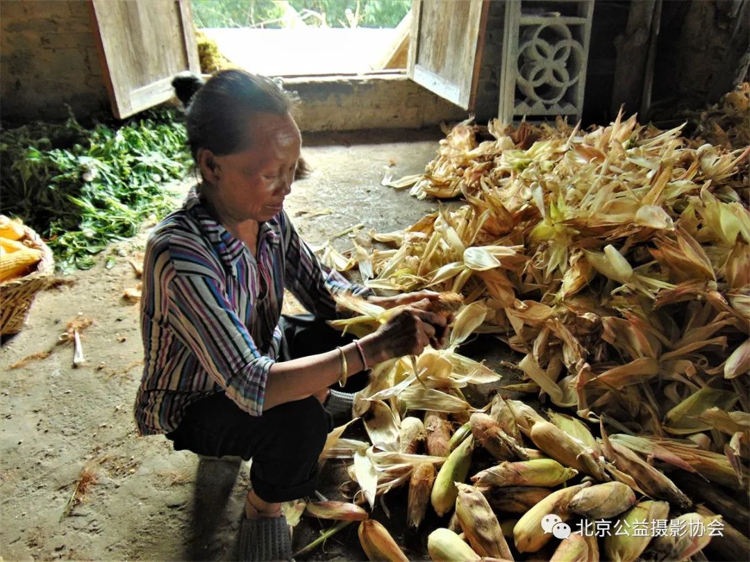 【第10期】微博月赛|5月劳动瞬间作品展示（二）