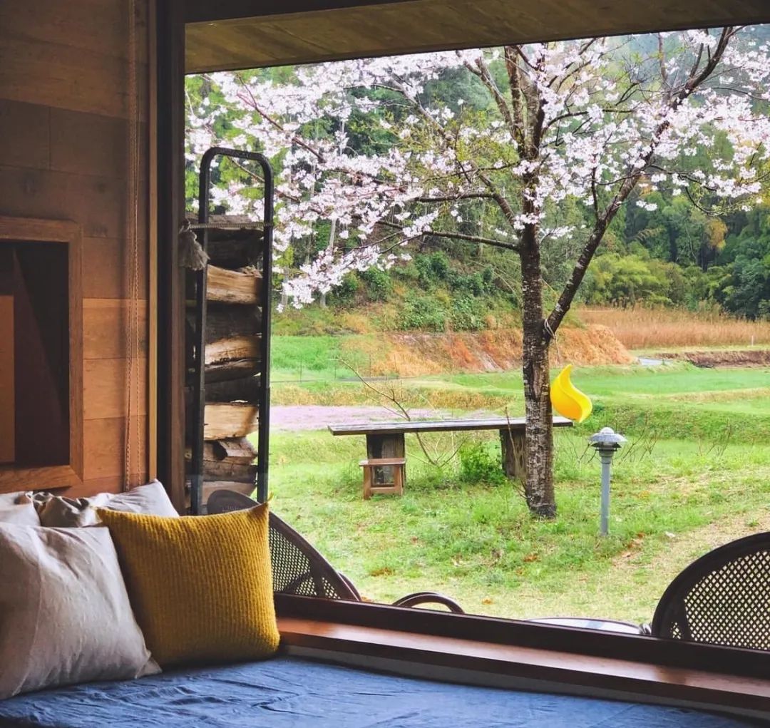 鏃ユ湰涓夎儙,鏃ユ湰涓夎儙瀹跺涵