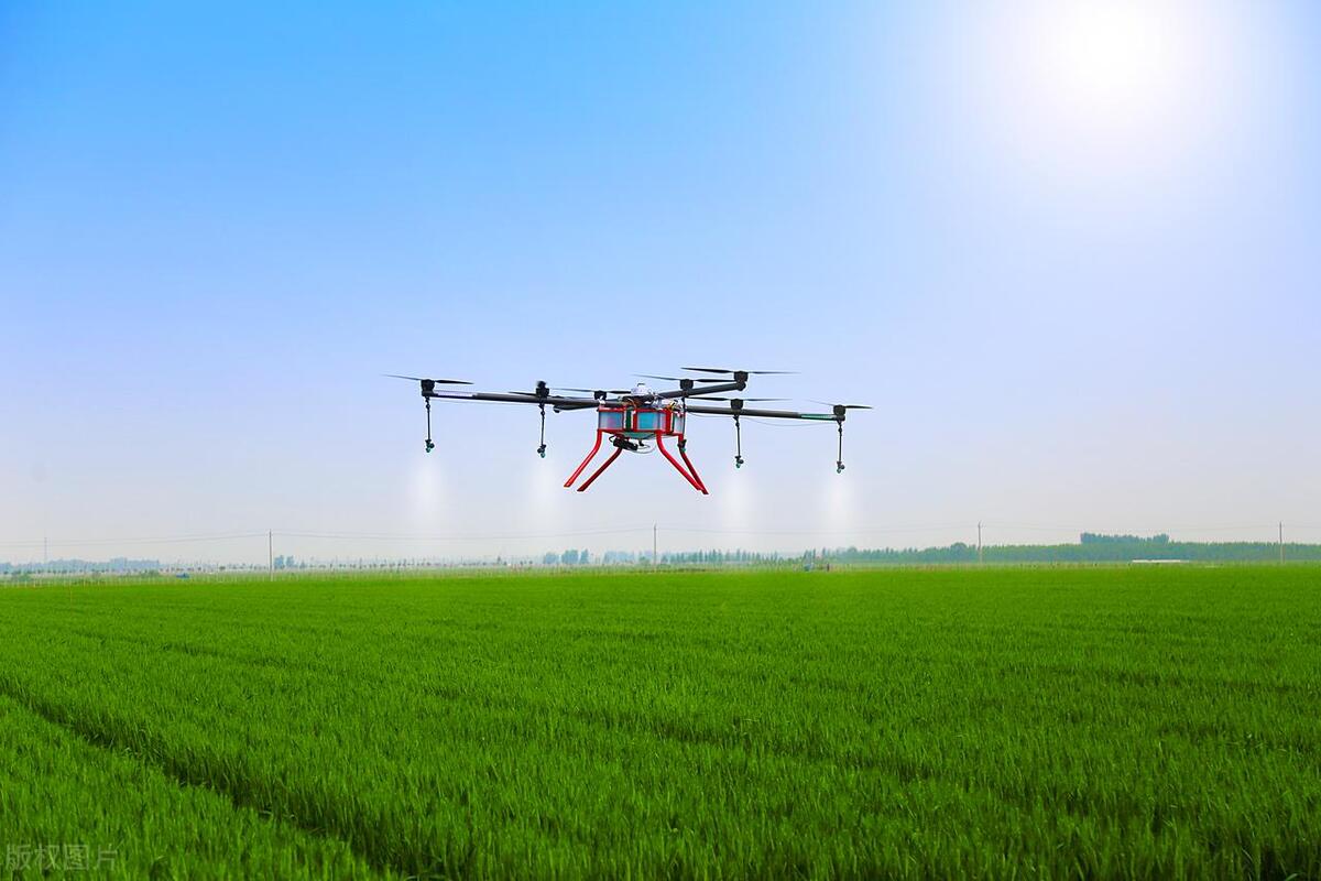露天菜地被水淹过的蔬菜怎么挽救,雨水淹了蔬菜怎么办