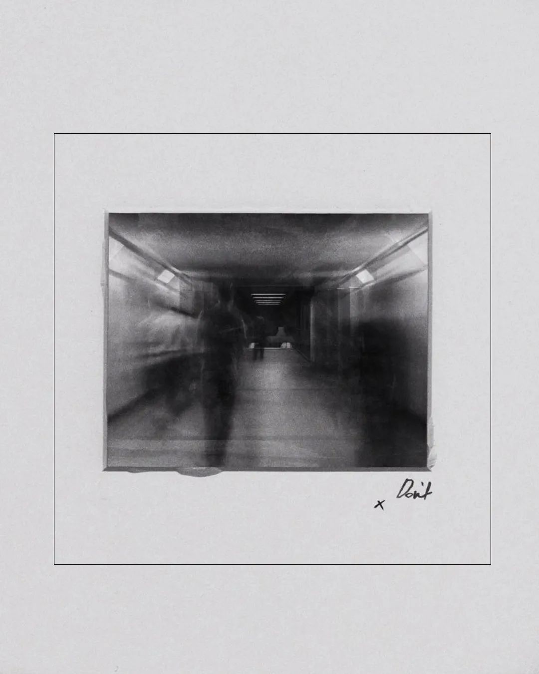 刘思慕梅根,刘思慕为什么加入加拿大