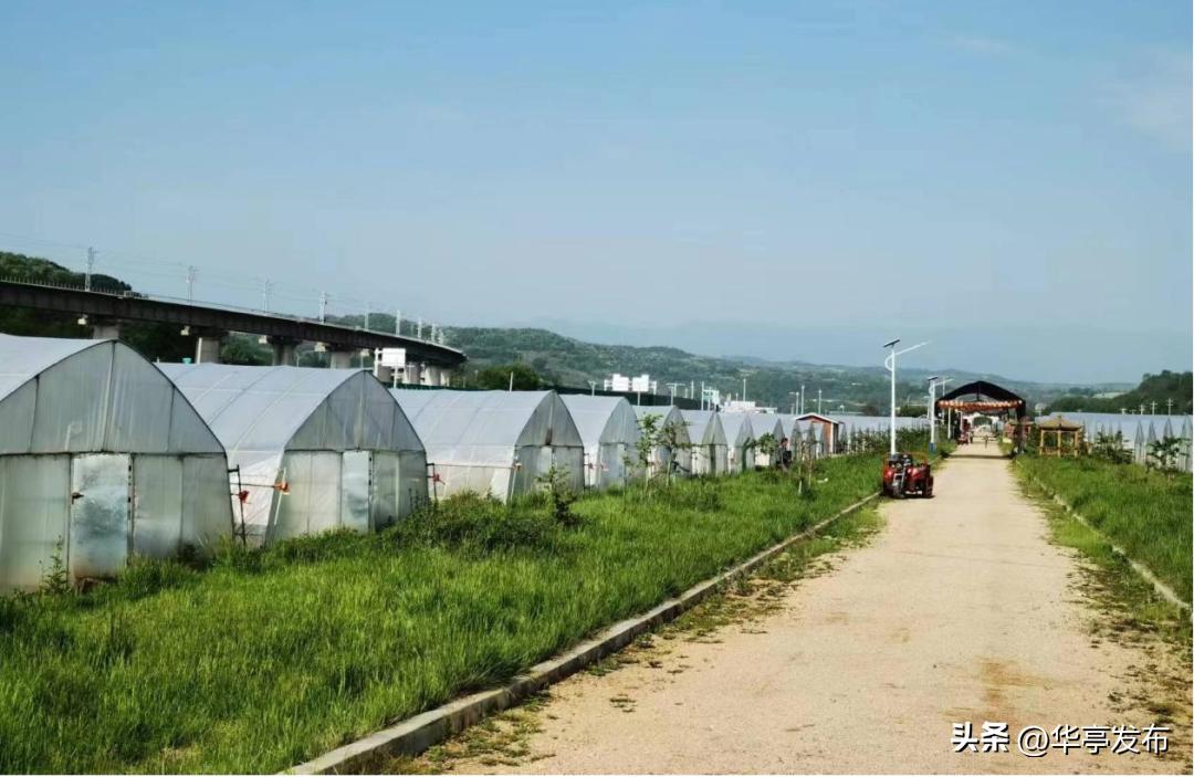 华亭县安口镇朱家坡村,安口镇朱家坡村