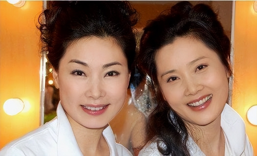 李冰冰姐妹花在娱乐圈打拼靠什么,十对明星姐妹
