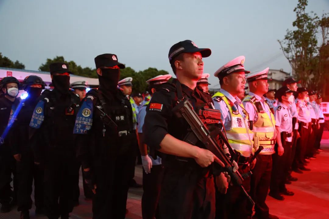 大理社会治安专项整治,大理市公安局治安突出问题整治