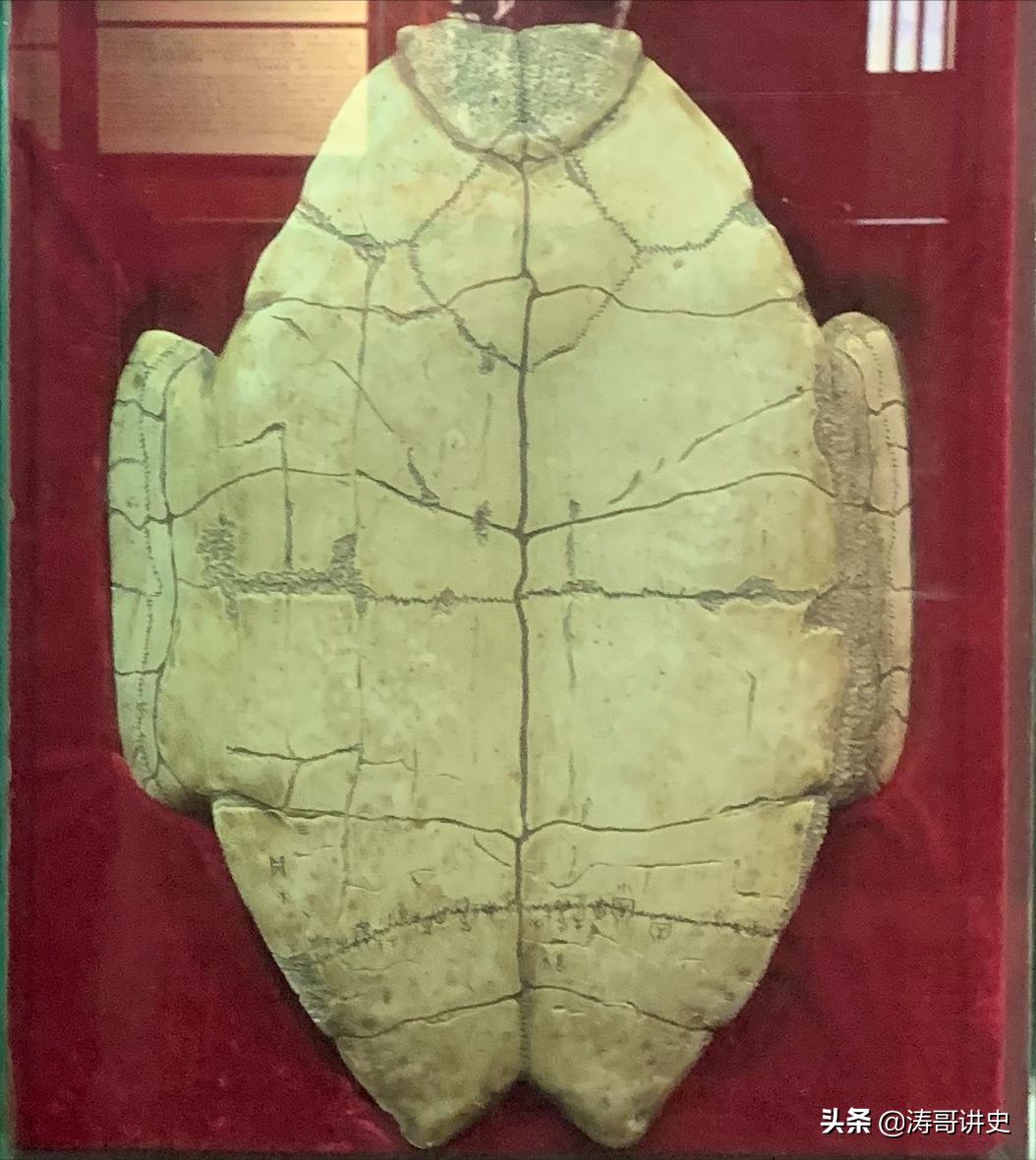 殷墟发现白人遗骨,殷墟遗址出土白人头骨