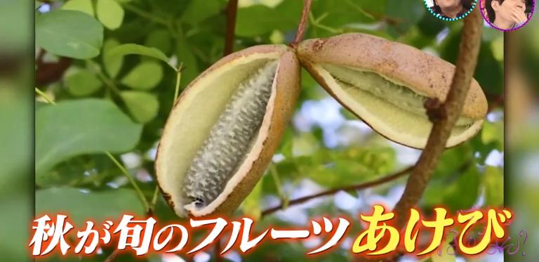 鏃ユ湰绗竴鐪侀挶,鏃ユ湰鏂按鏂數