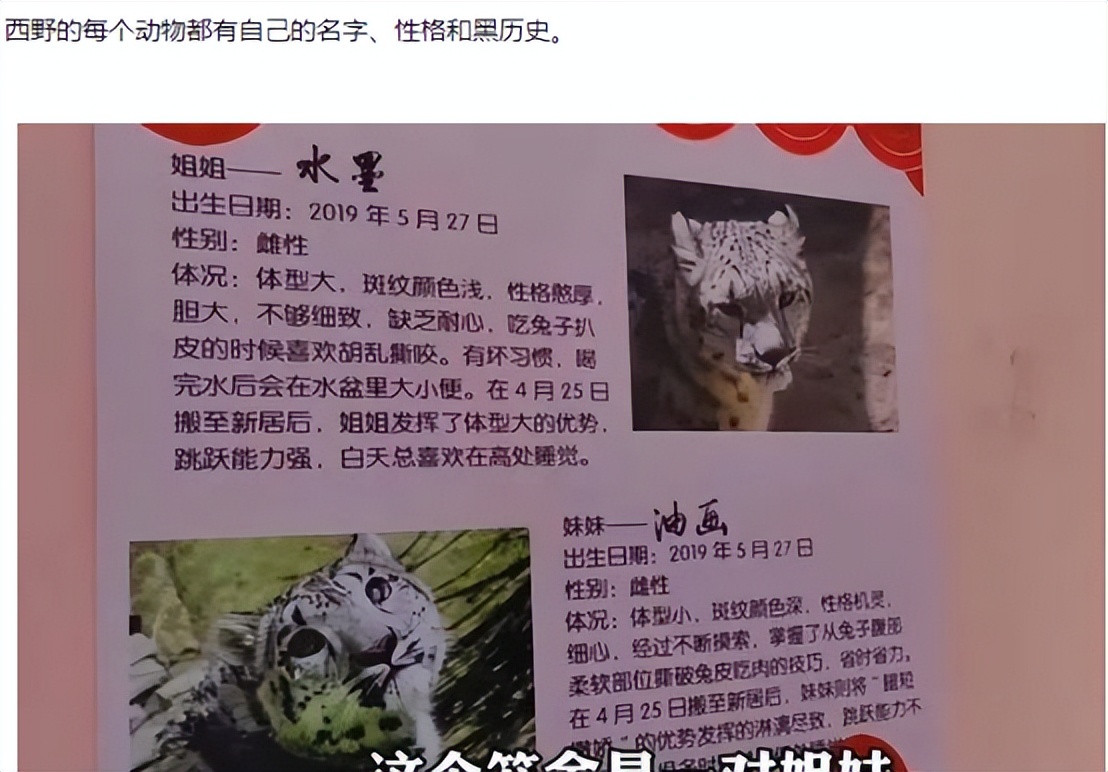 中国最大无人动物园,中国十大动物园红山动物园