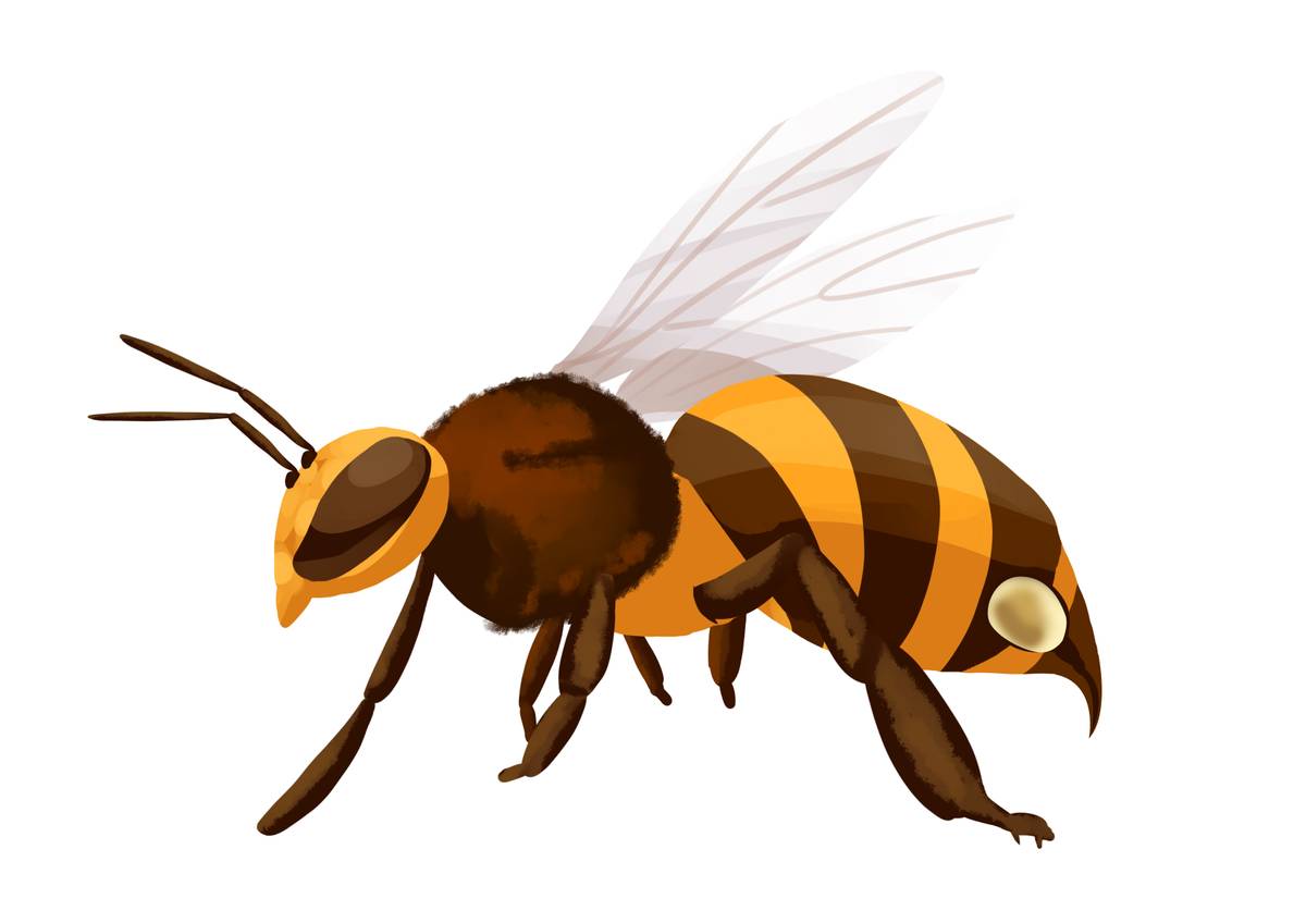 天气渐热这份防虫攻略请收好,高温天气治虫选择早上还是晚上好