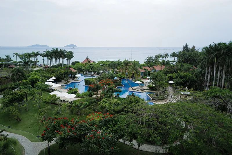 三亚归来不看海什么意思,三亚归来不看海黄山归来不看山