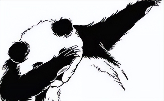 加菲猫可爱排名,肥猫加菲猫宠物