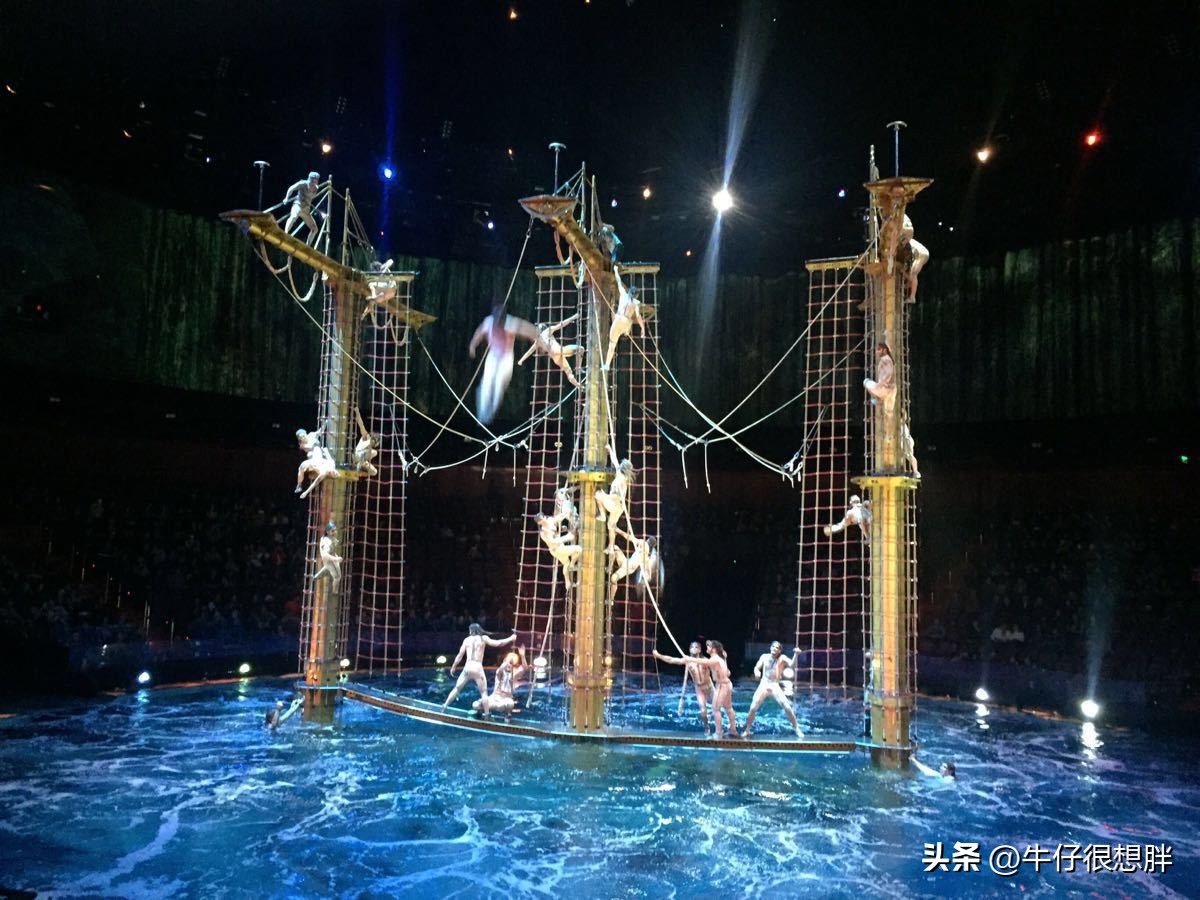 澳门遛娃5天自由行攻略,亲子游香港和澳门哪个更推荐