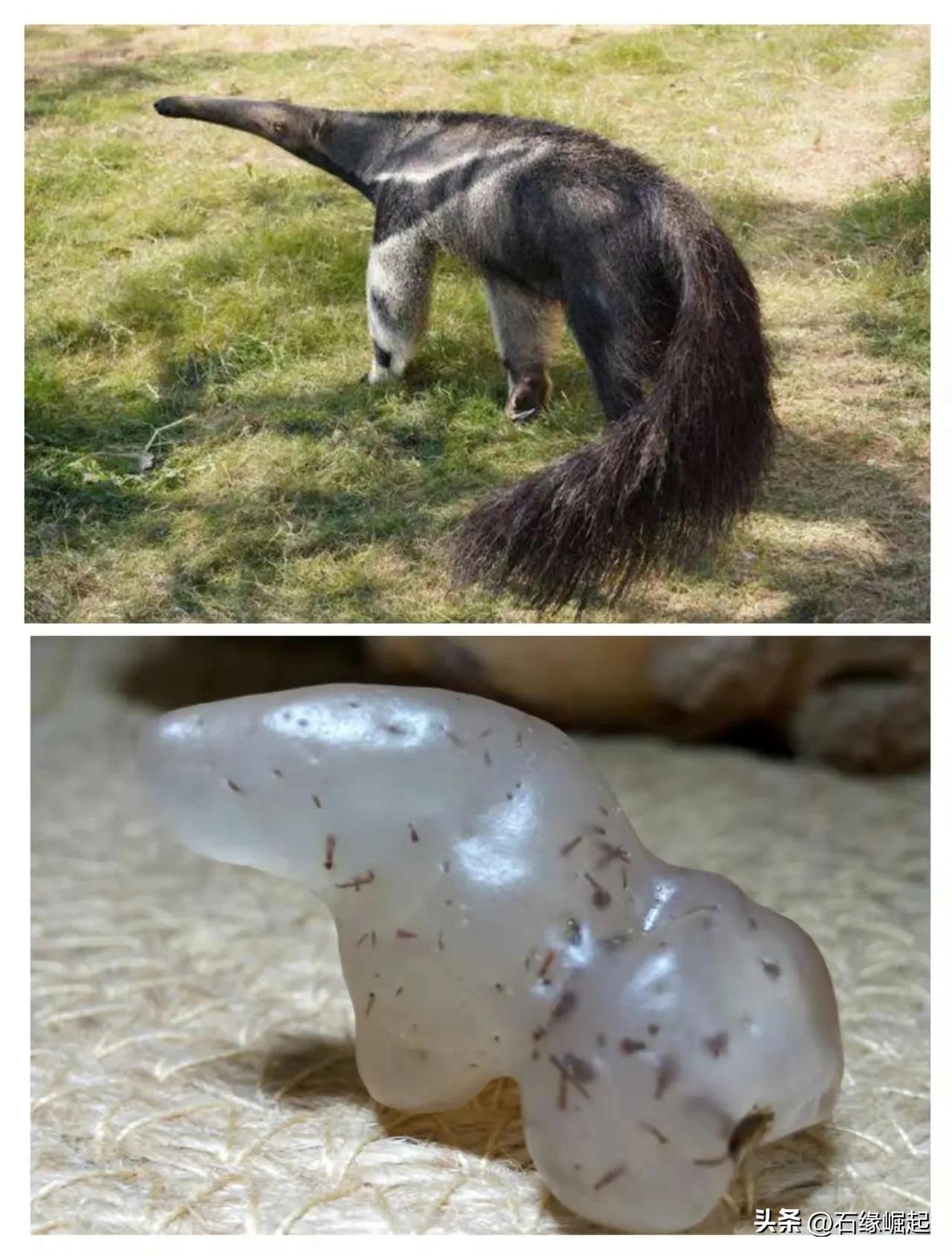 石头的趣味生活,石头玩出高级感