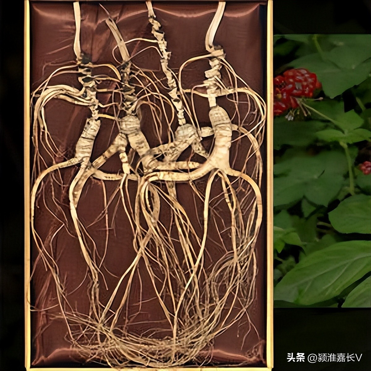 各大网购平台假货量排行,网购中假货最多的十大行业