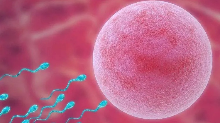 使用润滑剂，对女性伤害大还是对男性？怎样用才好？看完不再纠结