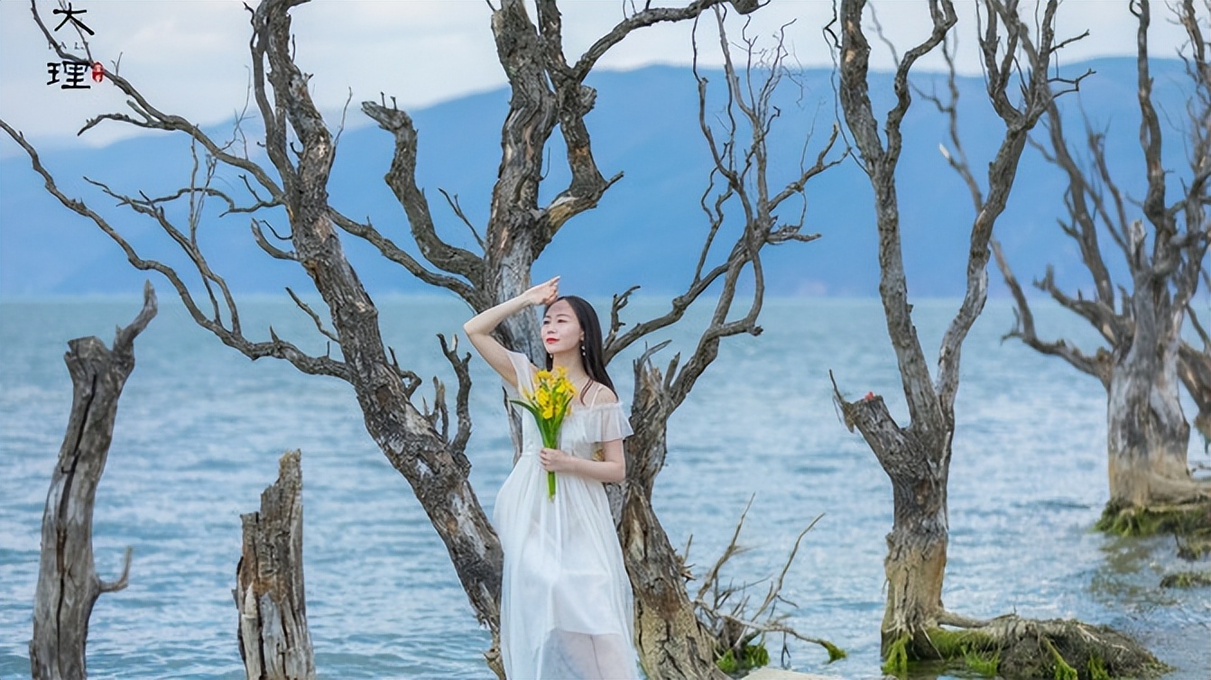 从昆明去大理怎样制作旅游攻略,云南昆明旅游攻略五天自由行