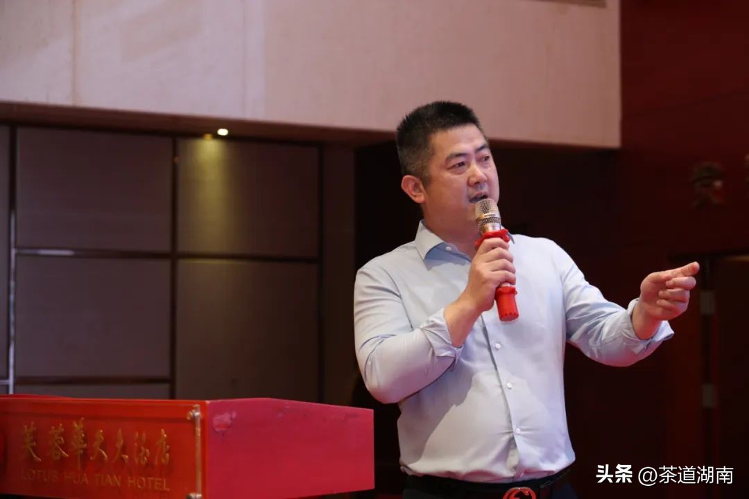 湖南长沙县春茶,2022湖南春茶总结