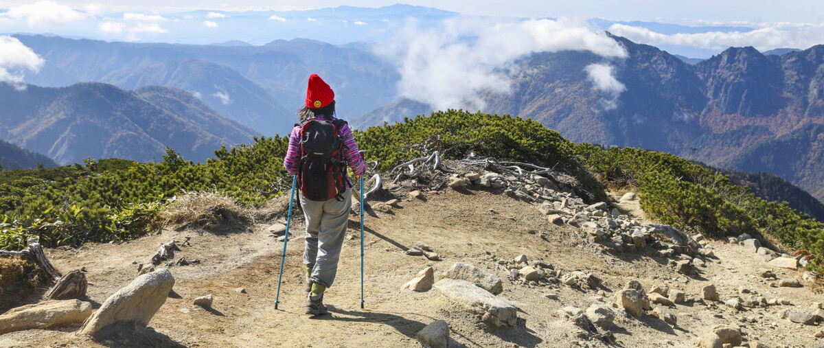 寻找单身合伙人,婚姻寻找合伙人