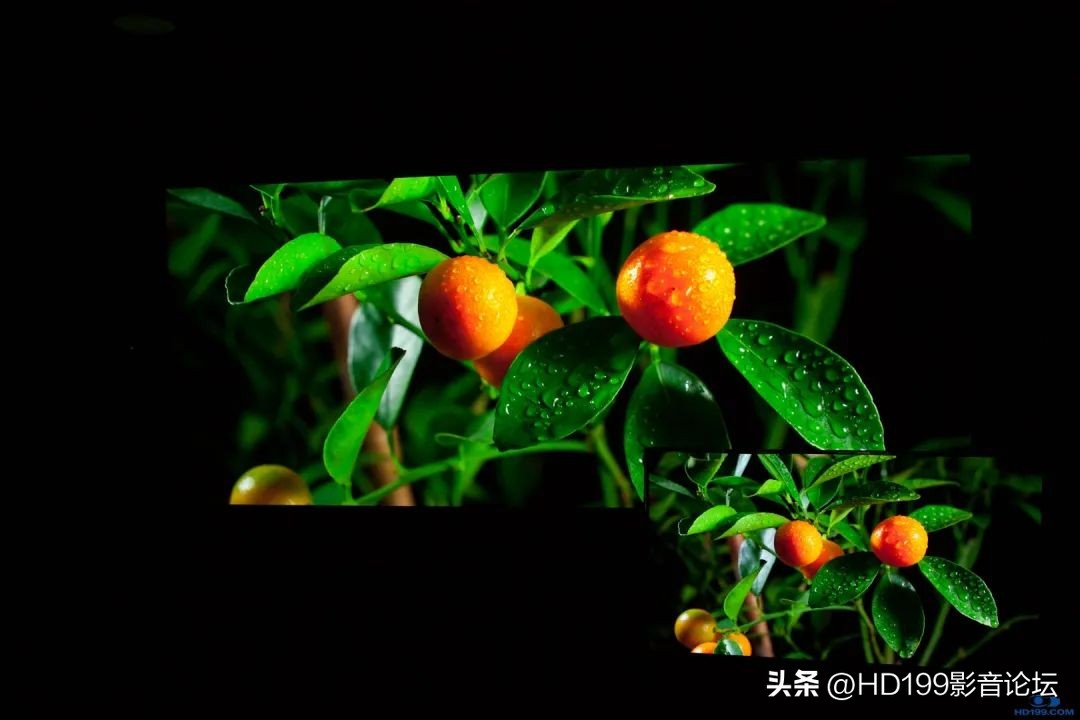 jvcn98和jvcn118实际效果差别大吗,jvcn118配什么幕布