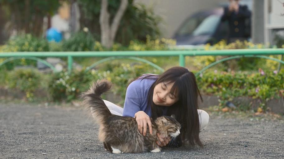 冲上热榜第2，风俗店“头牌”再就业，竟被日本人拍得如此好看