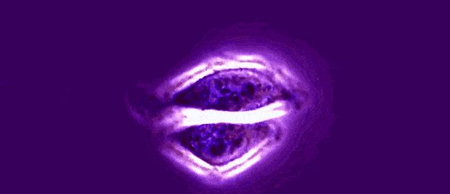 科学家试验癌细胞长到几百斤,科学家在人体内注入癌细胞