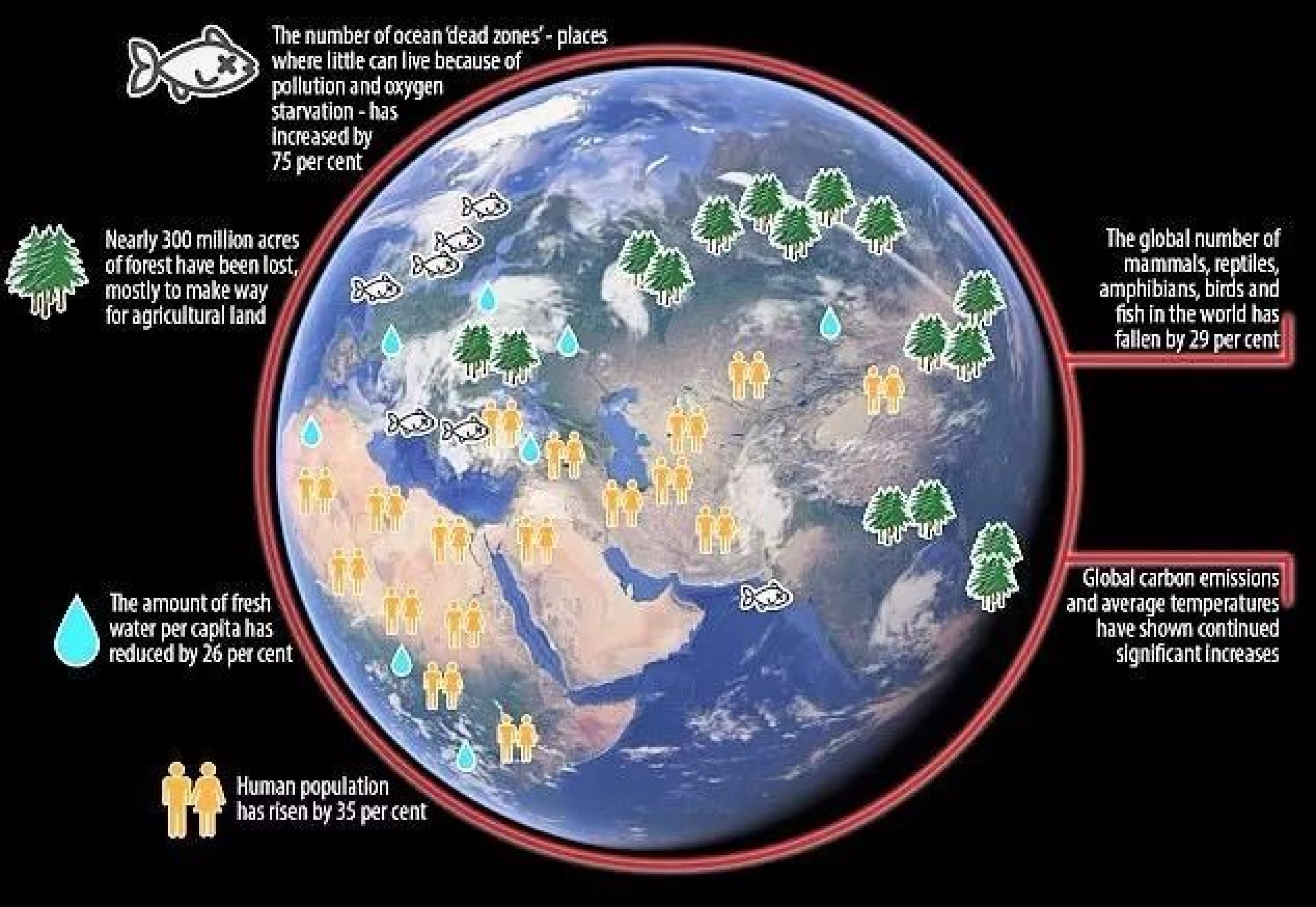 北极发现猛犸象真相 (猛犸象为什么会在北极圈冻土层里)