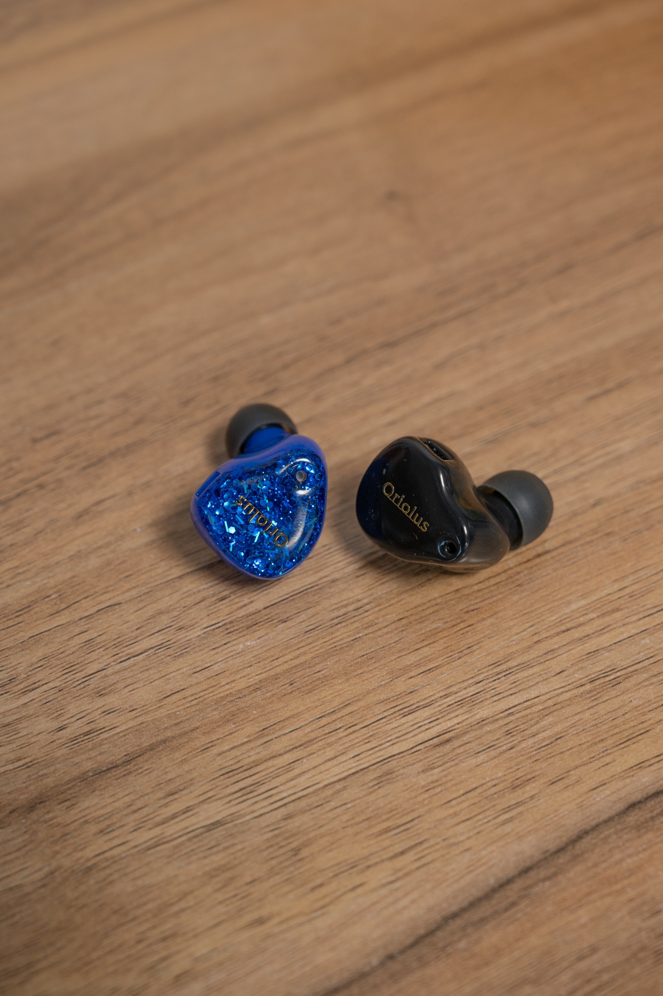 陪了我四年的黑黄鹂，是时候该说再见了