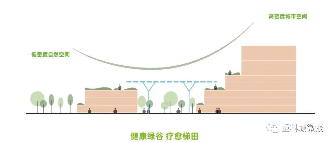 高新区人民医院中标公告,南阳市第一人民医院中标公告