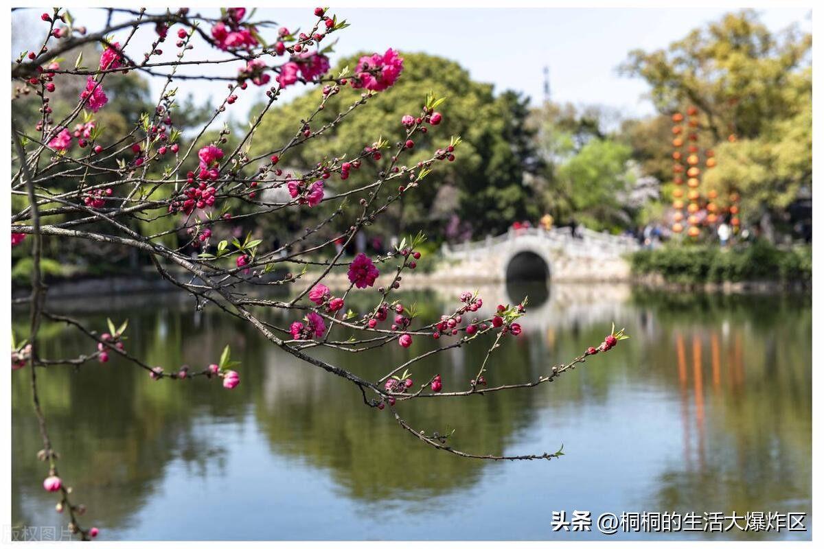 无锡旅游一日游推荐路线图,无锡特种兵一日游攻略