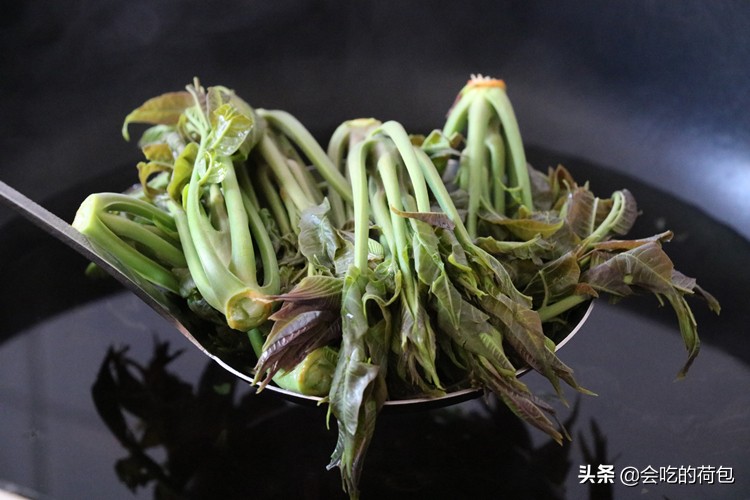 风冷无霜冰箱怎样储存蔬菜,什么蔬菜不能放冰箱储存