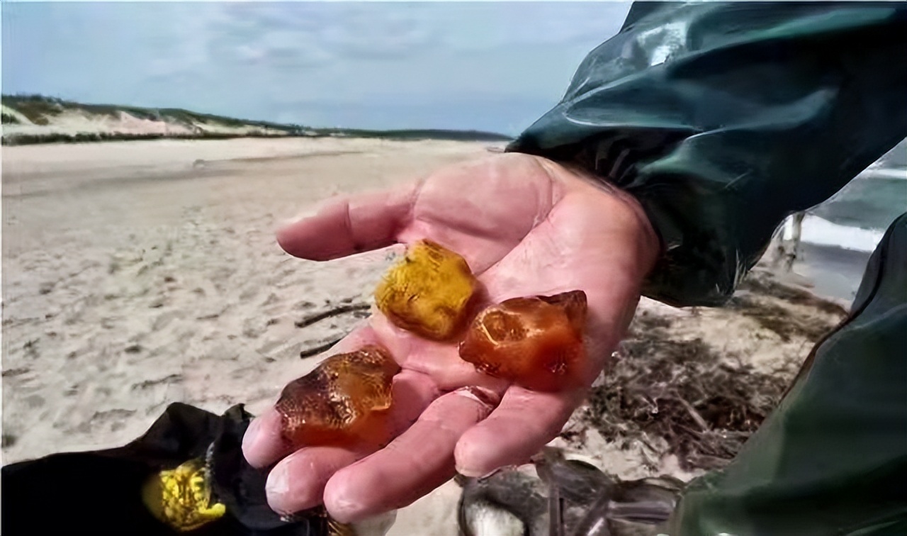 如果有机会,我想去波罗的海捞琥珀,那可是论克卖的