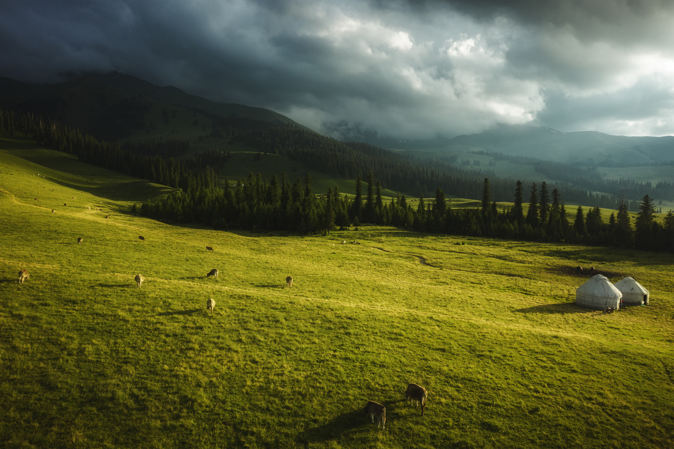 去新疆发现伊犁的美,世界之美尽在伊犁