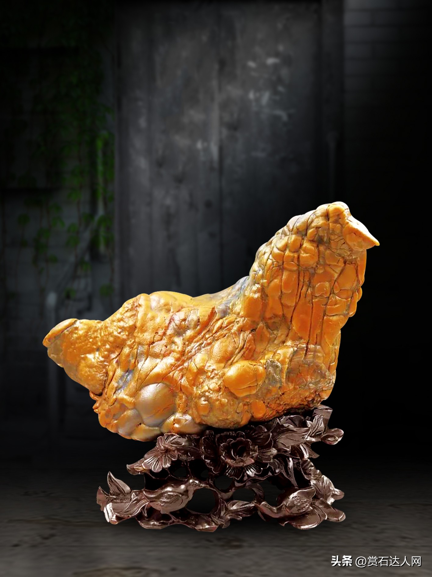 五颜六色的石头拍照,五彩斑斓的石头照片