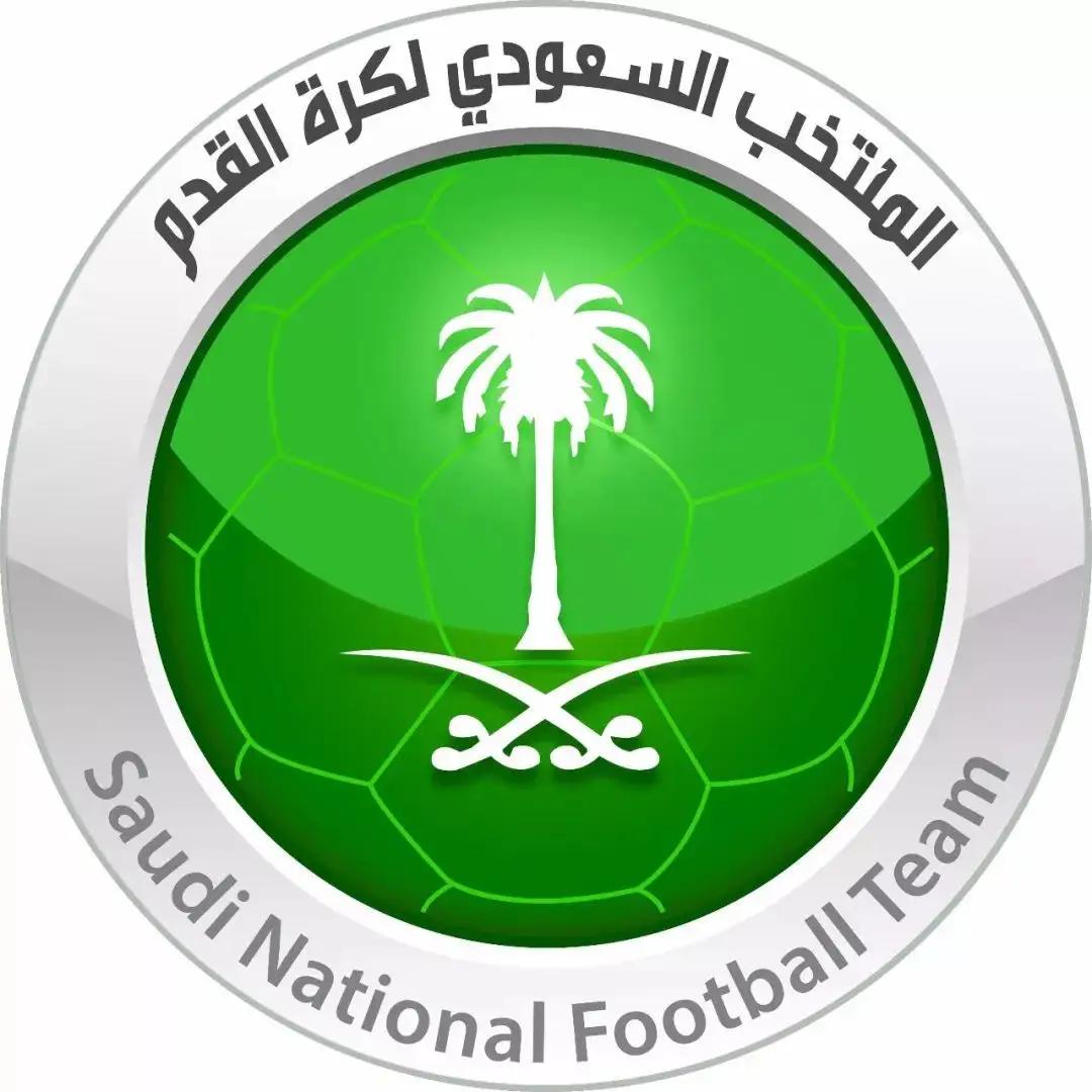 世界杯32强球队解读,世界杯足球扫盲图