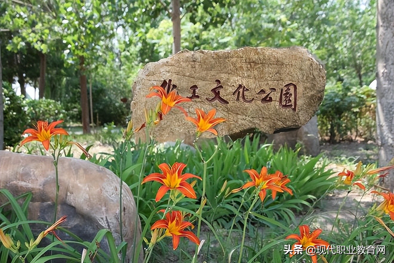 渤海职业技术学院双高,双高计划专科院校天津专业