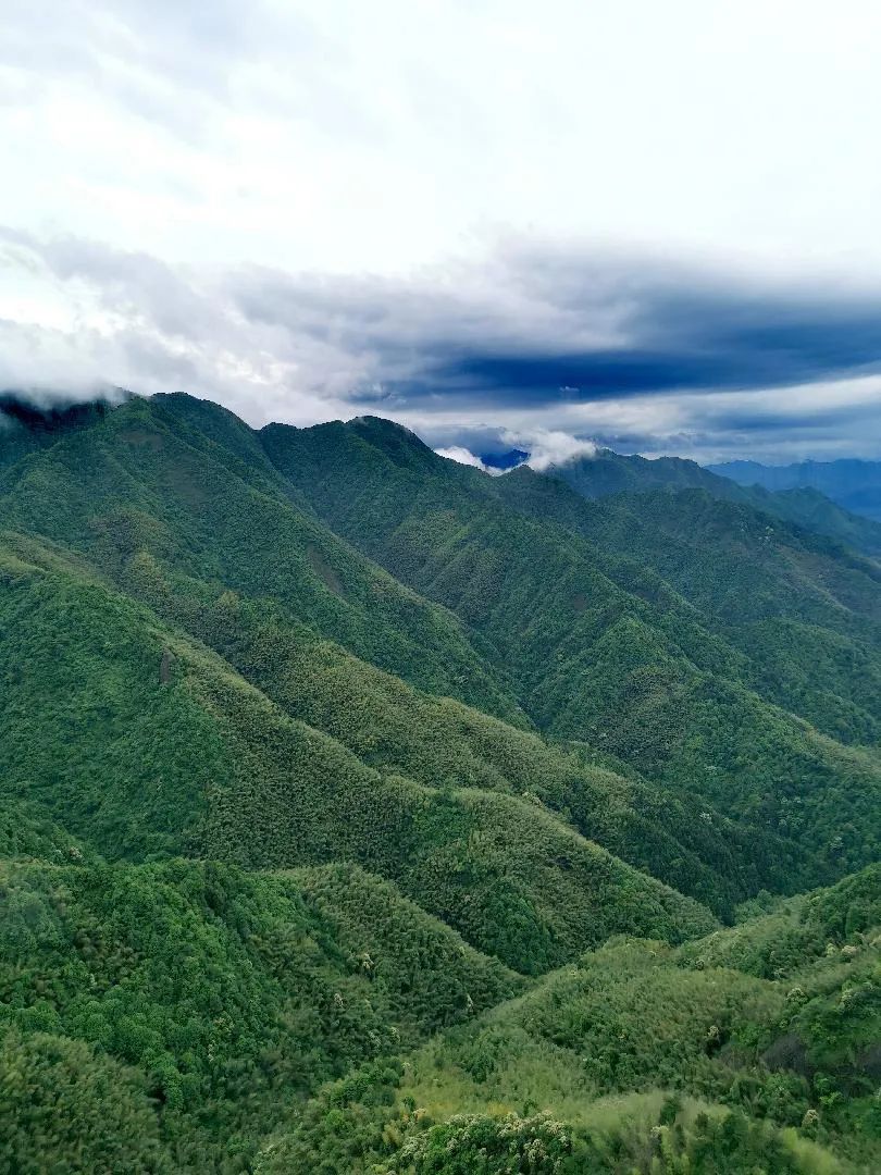 浙江有座非常霸气的县城——江山