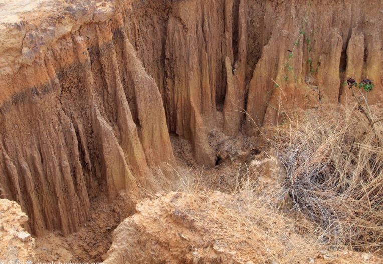 土壤侵蚀：它削弱了地球的生命力和抵抗力，你能做些什么？