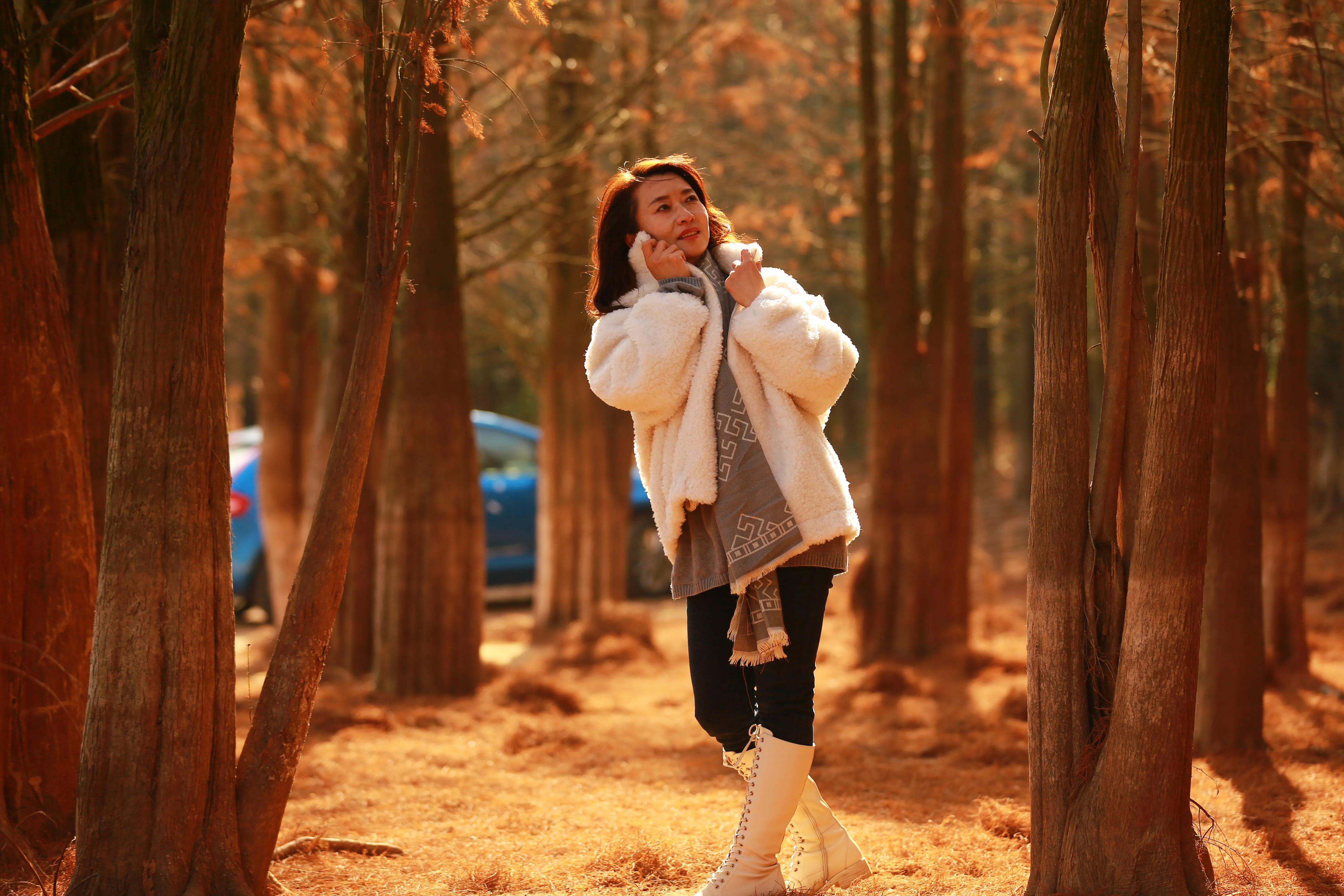 红杉林之恋,红杉林之恋完整版