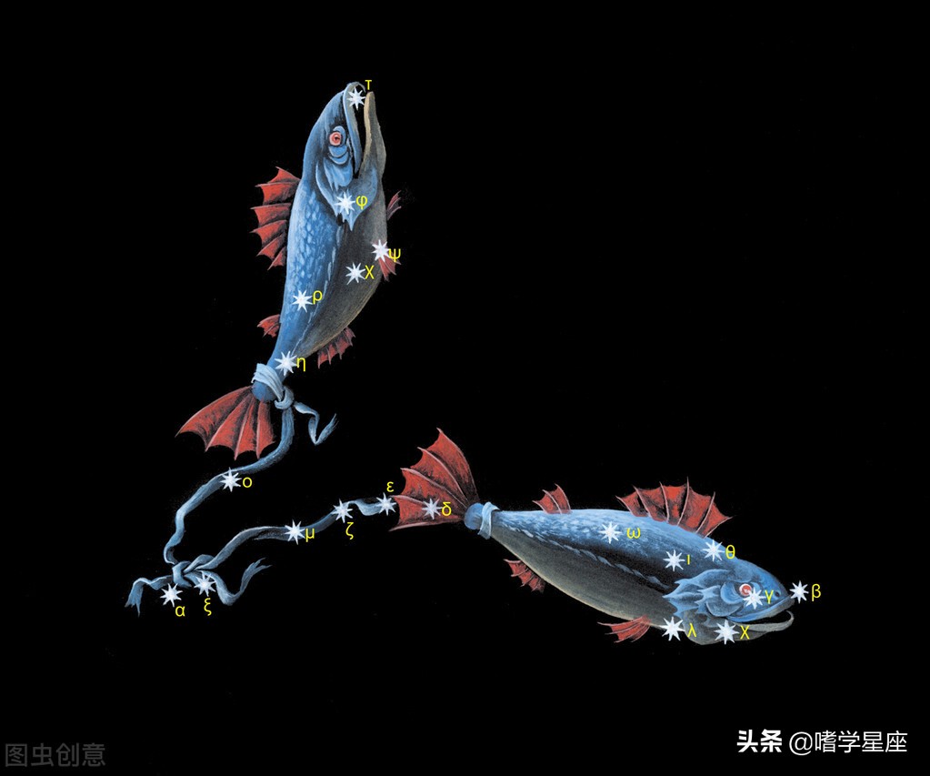 白羊女和十二星座的恋爱关系,白羊男和十二星座女的感情