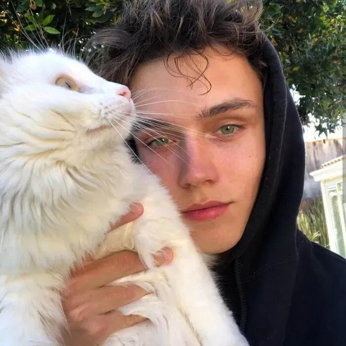 12星座金牛座喜欢一个人表现,金牛座女喜欢一个人的表现准到爆