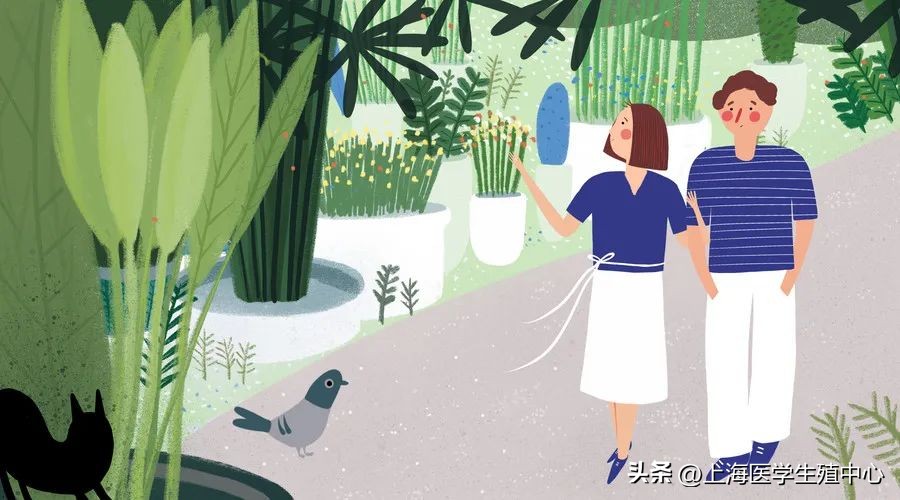 促排需要注意哪些事项,促排怎么提高成功率