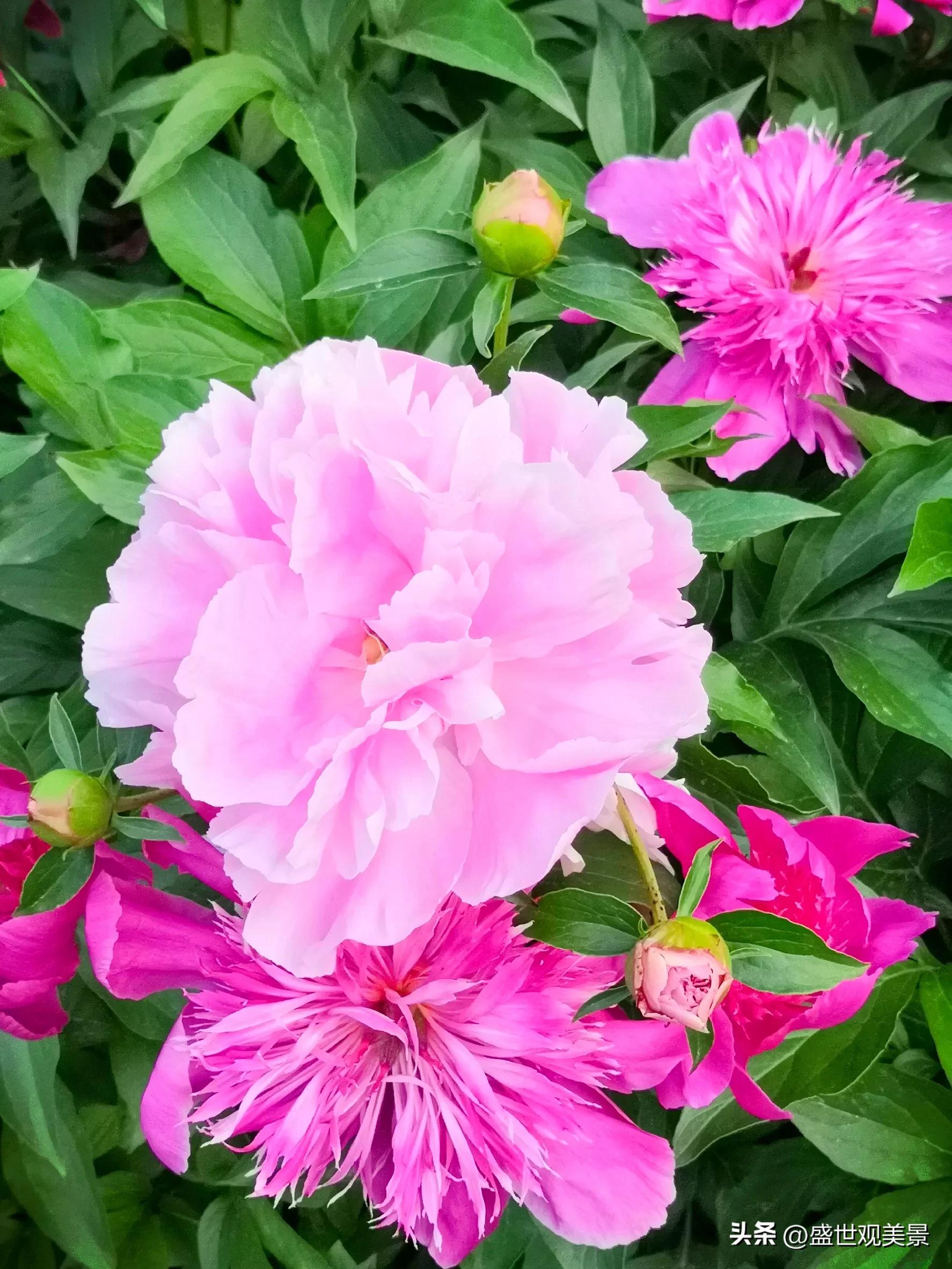 怎样找到头条的流量密码,头条原创文章怎么加推荐量