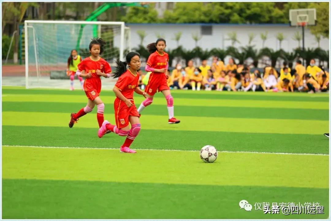 仪陇县新政小学足球联赛2023,仪陇县新政小学第九届足球比赛